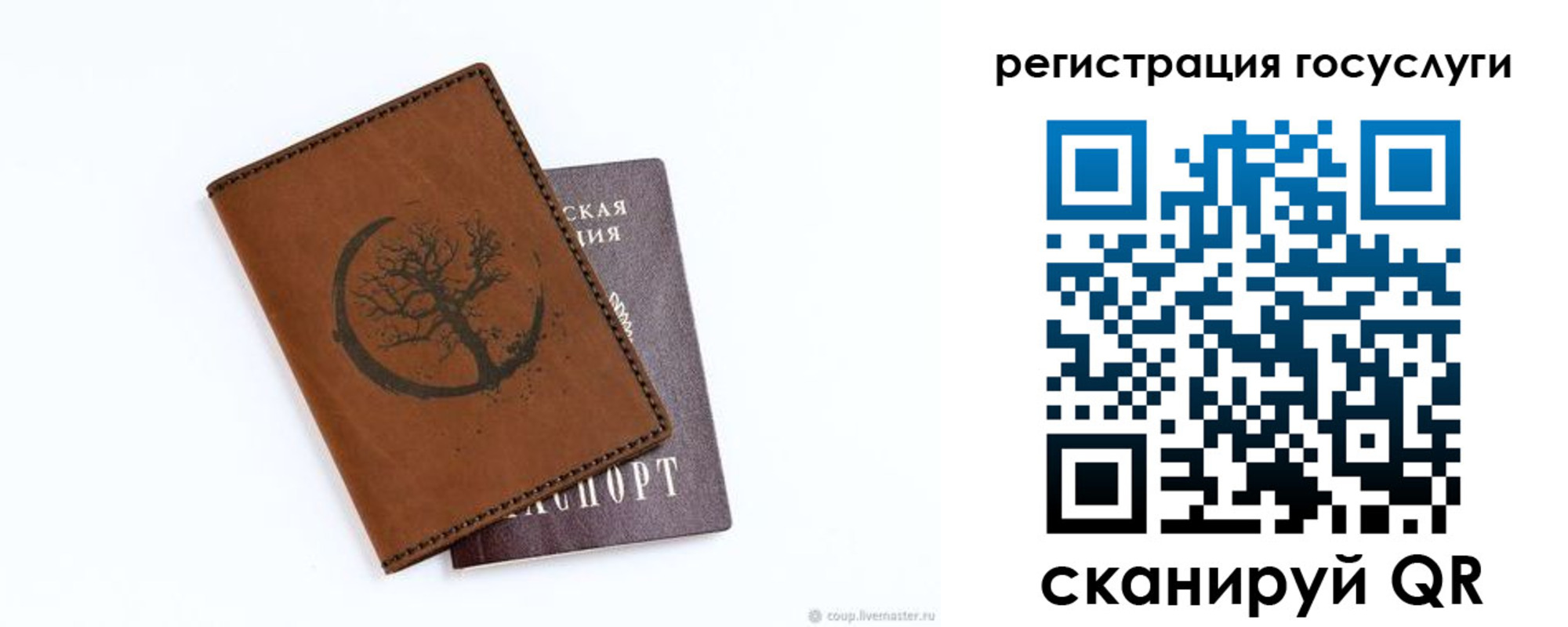 прописка для школы в Аркадаке
